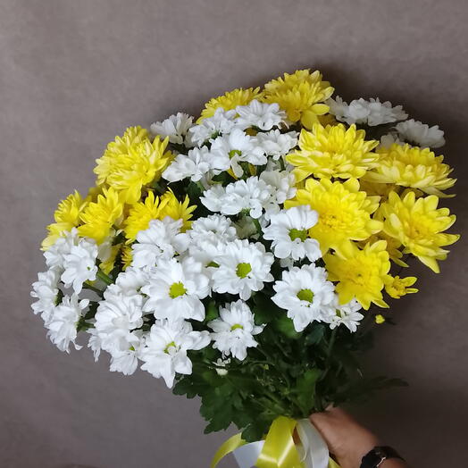 Хризантемы прекрасные 🤍💛