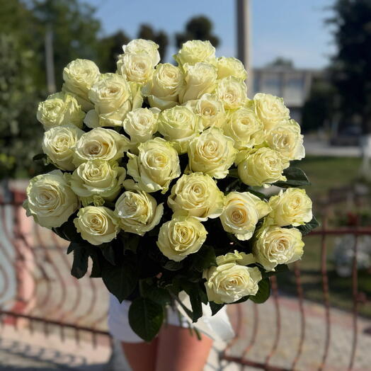 Белые розы 31 шт под ленту