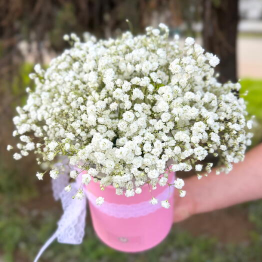 Композиция из 5 белых гипсофил