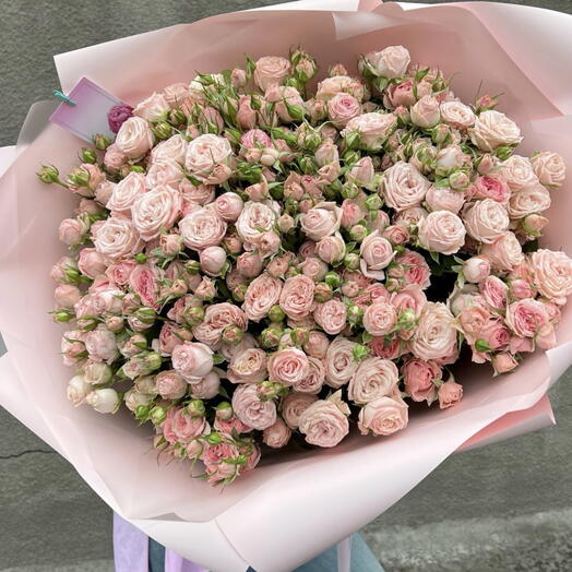spray roses- bombastik