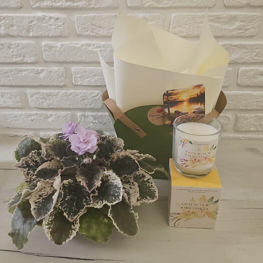 Подарочный VIP сет Сиреневый Мрамор. Коллекционная фиалка ЕК и парфюмированная свеча
