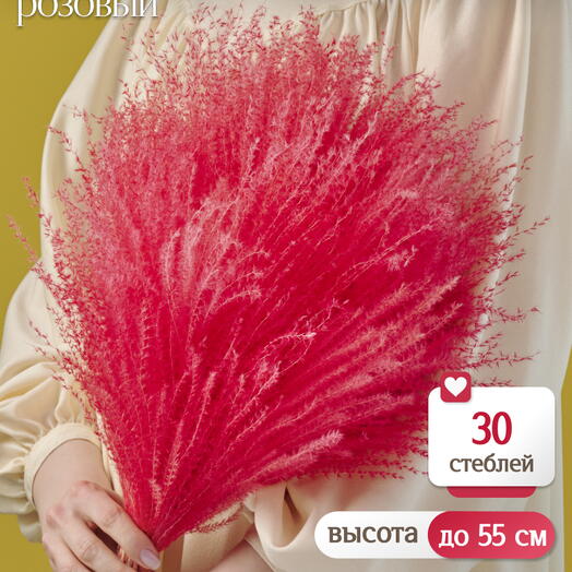 Мискантус розовый 30 шт. Высший сорт М042