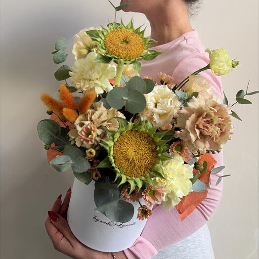 Композиция 237