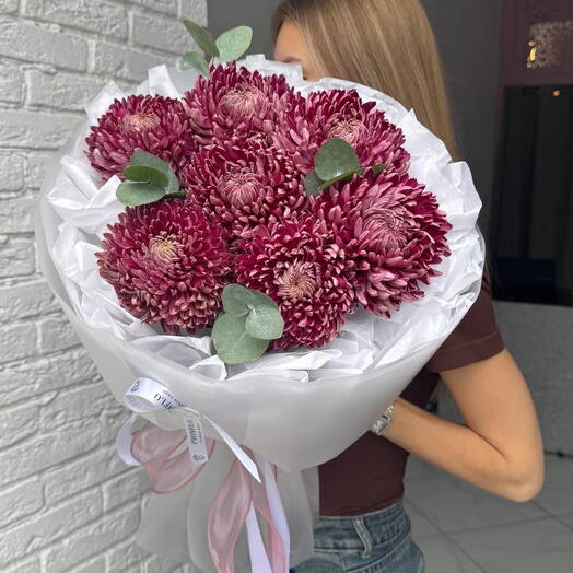 Винные хризантемы