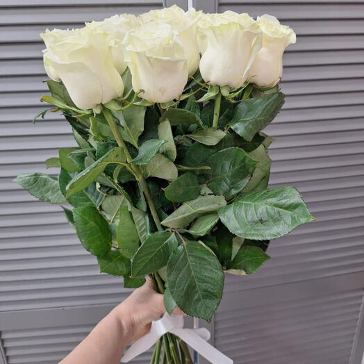 Эквадор 15 Белая