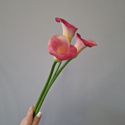 Букет из 3 калл