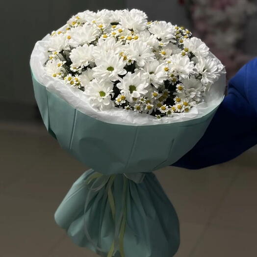 Палитра ромашек