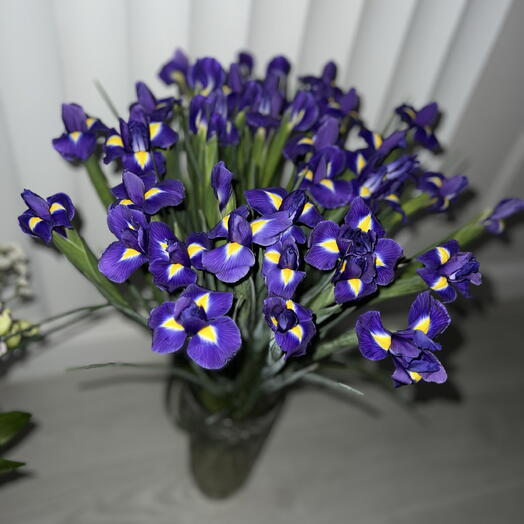 Ирисы 💜