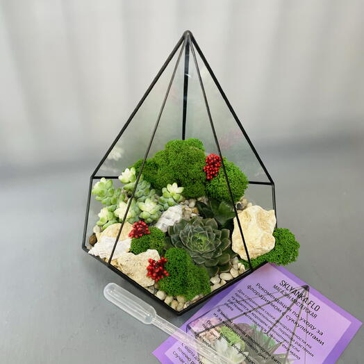 Флорариум с суккулентами
