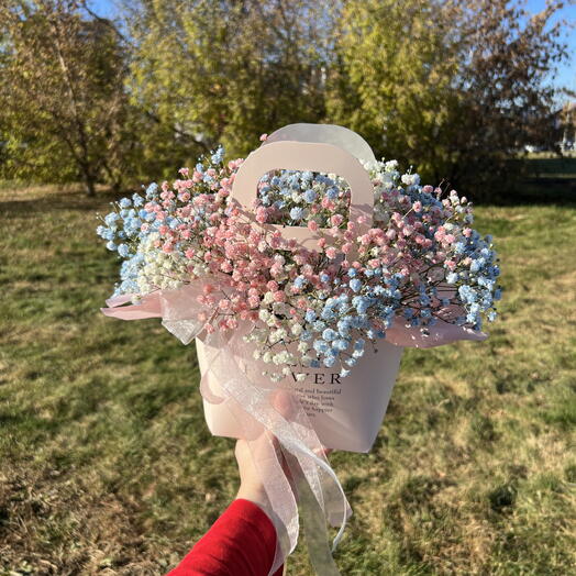 Гипсофила стойкая 🌸