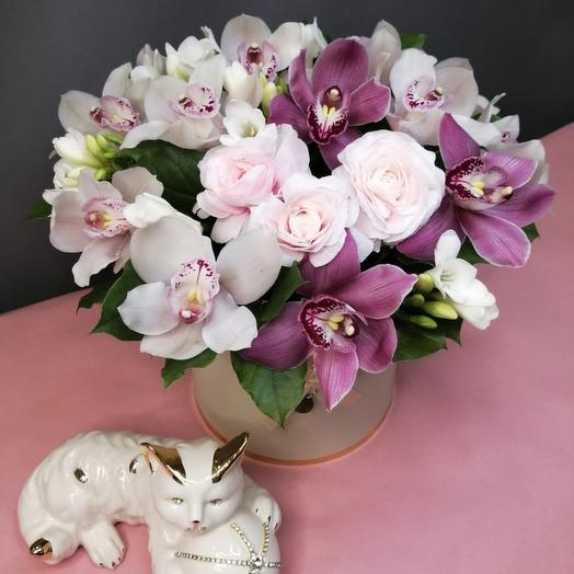 Caja de orquídeas