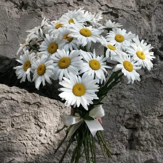Chamomile
