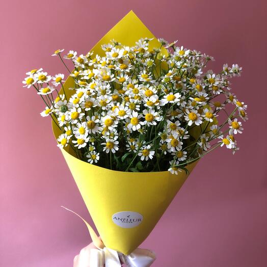 Bouquet of Tanacetum daisies