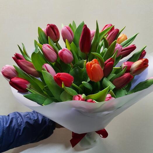 Buquet of 25 tulips