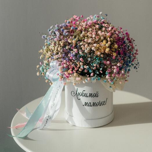 Разноцветная гипсофила в коробке для мамы FT080