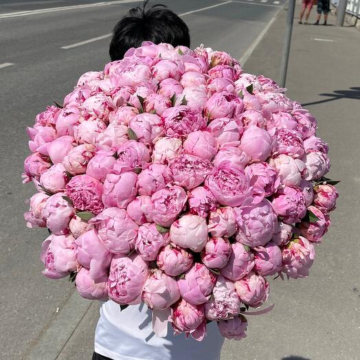 101шт пион Сара Бернард