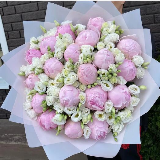 Softness