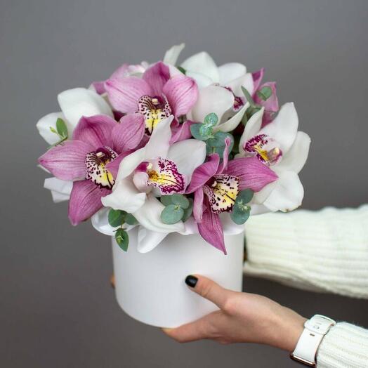 Orquídeas en Caja
