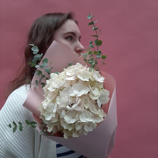 Mezcla de Hortensia