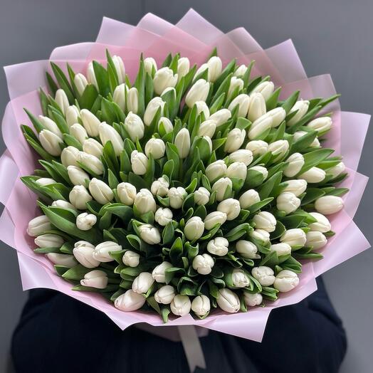 Bouquet of white tulips