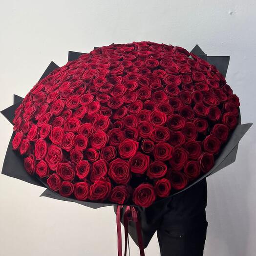 Bouquet of roses