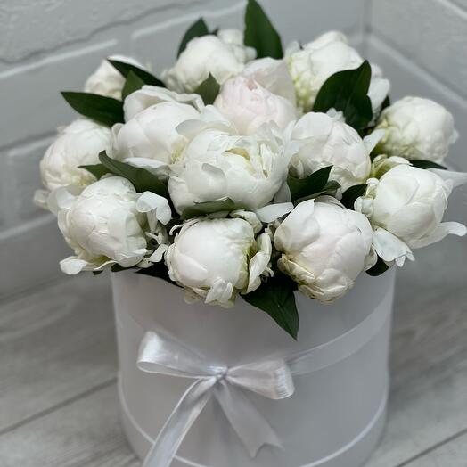 Peonía blanca 15