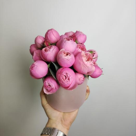 Peony-shaped rose in a box
