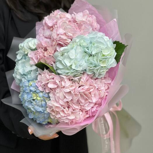 Bouquet of colorful hydrangeas