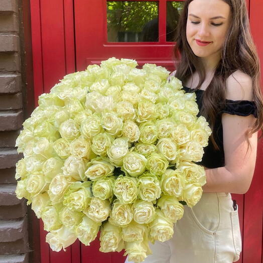 101 rosa 60 cm blanco