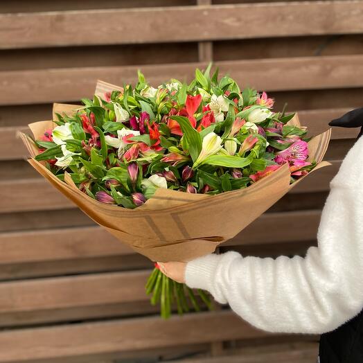 A mix of 31 thalstroemeria