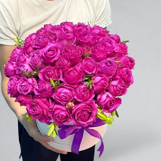 Peony - shaped Bush Rose