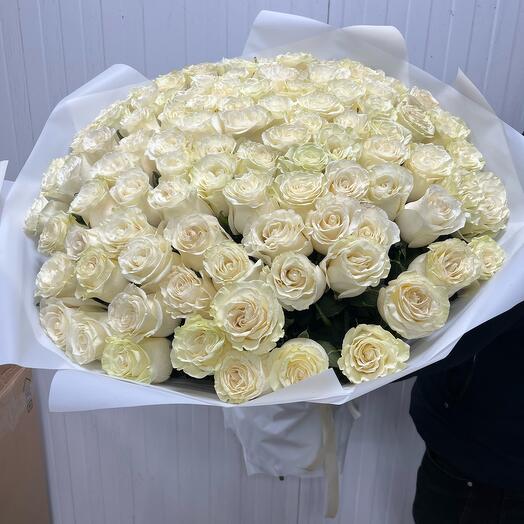 Роза еквадор 101 штук