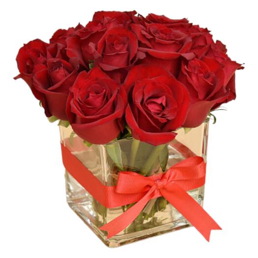 15 Red Roses in a vase