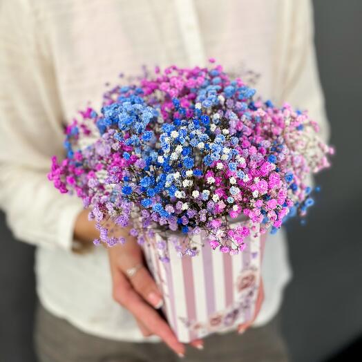 Composition of colored gypsophila