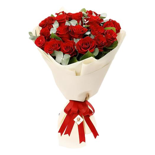 Bella - 25 Red Roses Bouquet