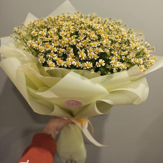 Букет из кустовых ромашек Луга