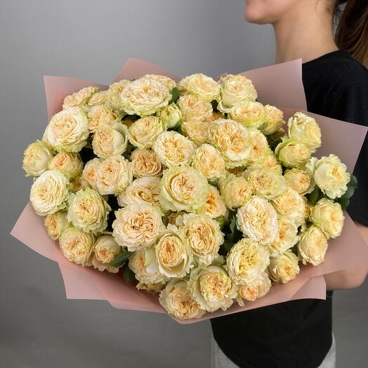 Monobucket of 21 Shrub roses in a matte film