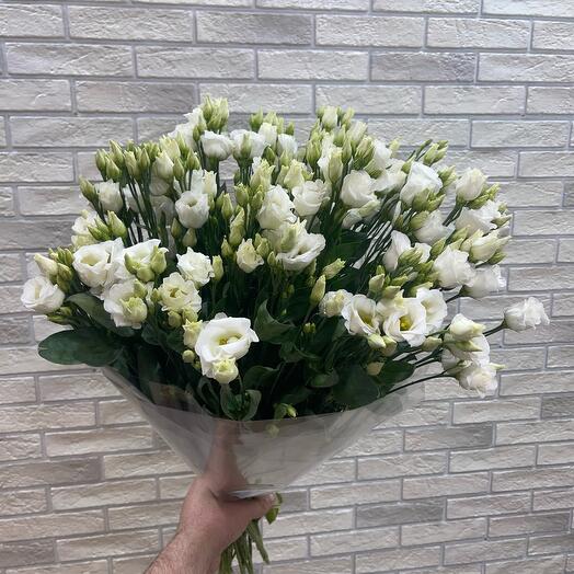 15 Лизиантус