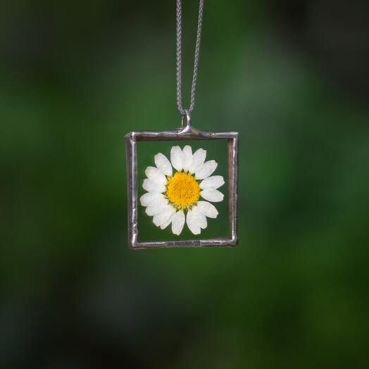 Forget me not