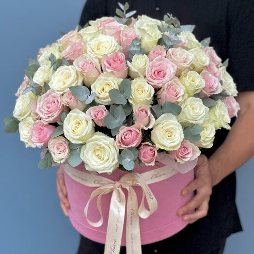 White pink roses 85