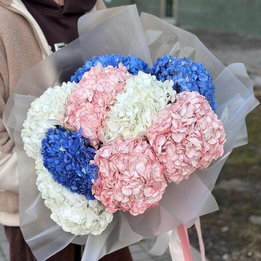 Букет из Гортензий XL