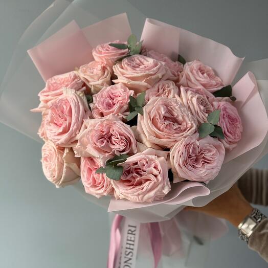Самые парфюмированные розы Pink O Hara 19