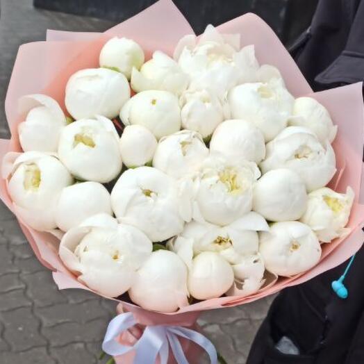 25 белых пионов