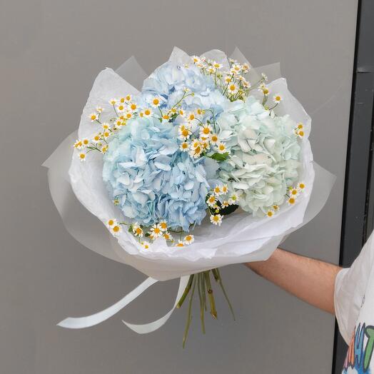 Airy hydrangea with chamomile
