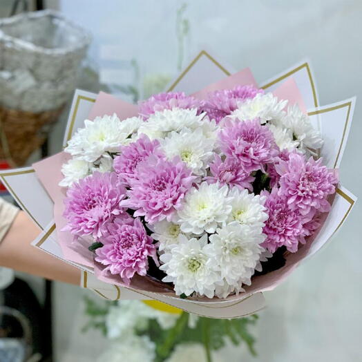 Pink and White Chrysanthemums