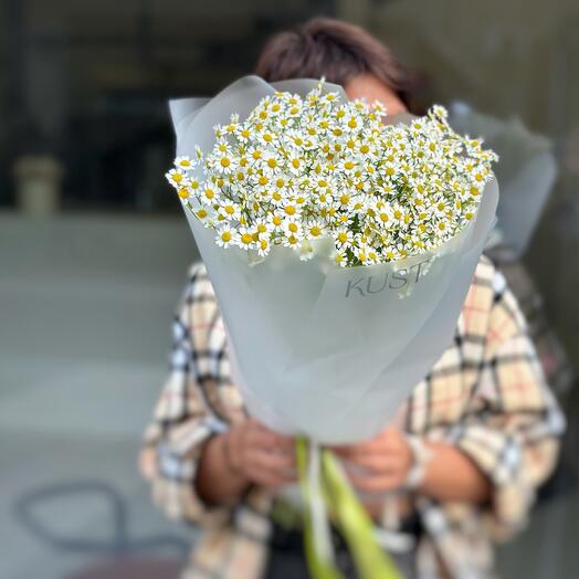 Monobook of bush daisies