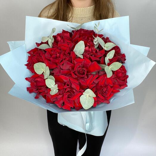 French roses