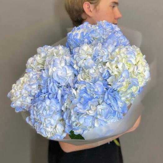 Bouquet of 9 blue hydrangeas