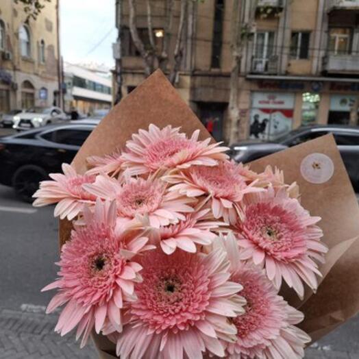 Pink Gerbera