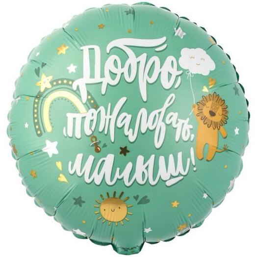 Шар «добро пожаловать, малыш!»